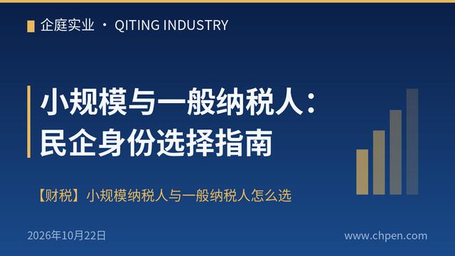 小规模与一般纳税人：民企身份选择指南